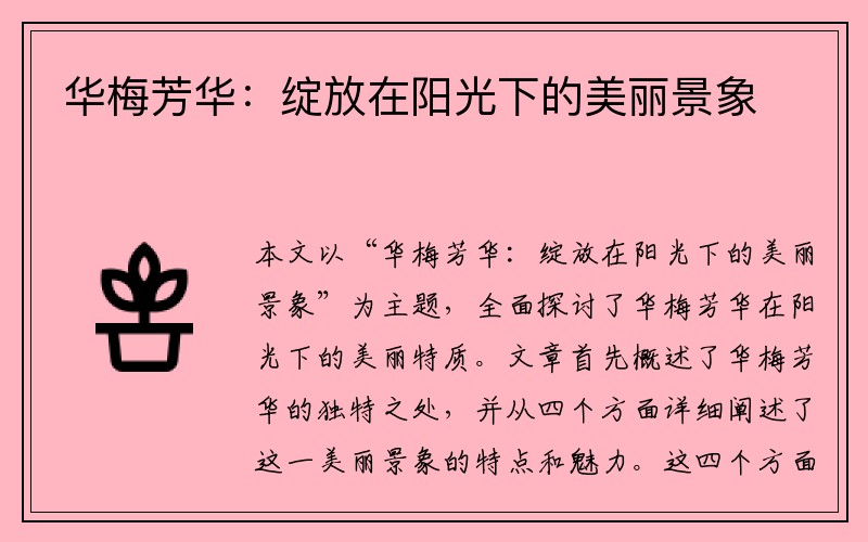 华梅芳华：绽放在阳光下的美丽景象