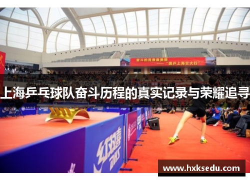 上海乒乓球队奋斗历程的真实记录与荣耀追寻