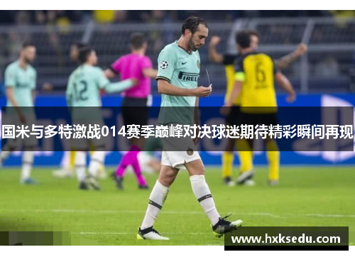 国米与多特激战014赛季巅峰对决球迷期待精彩瞬间再现